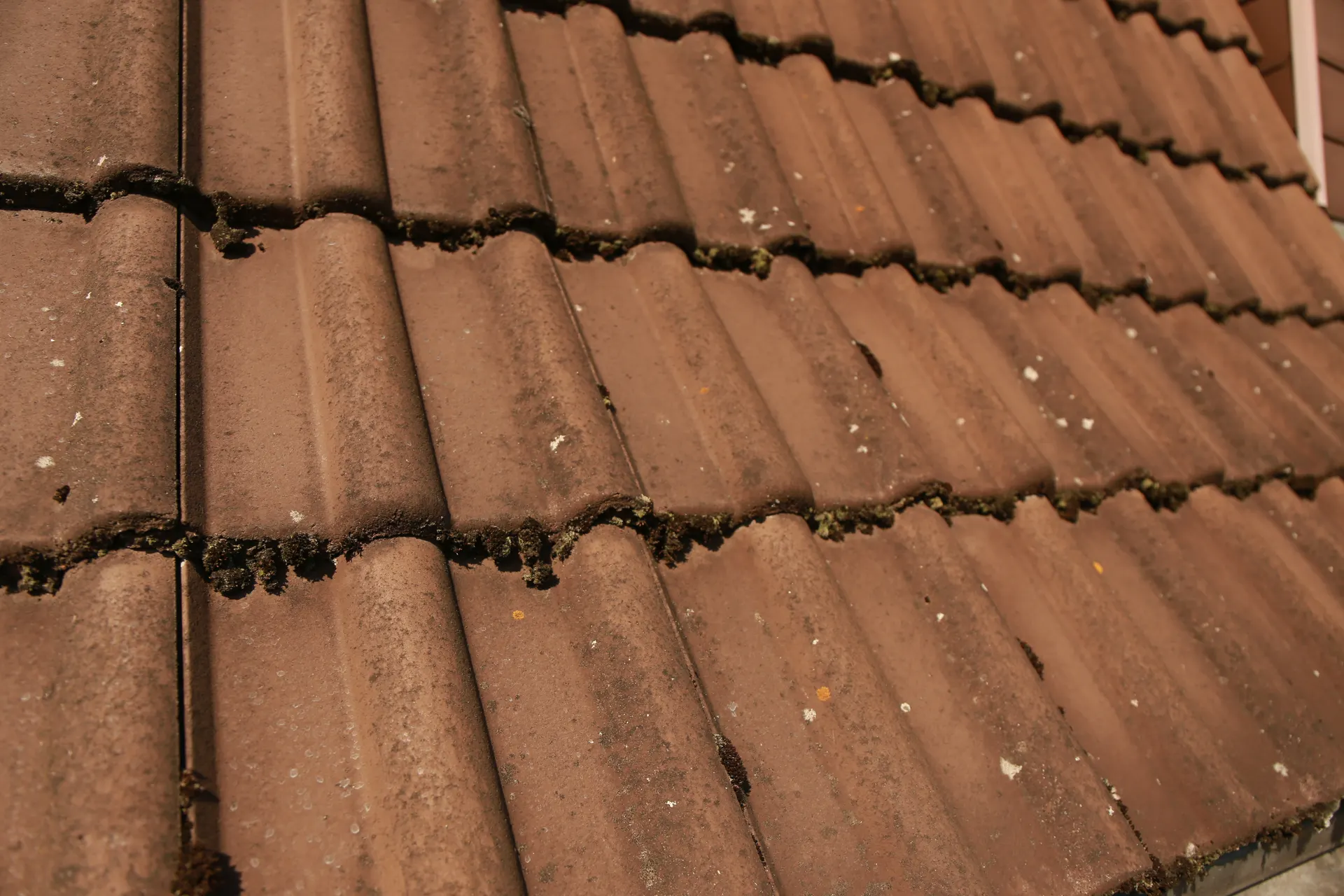 Details des Dachzustands