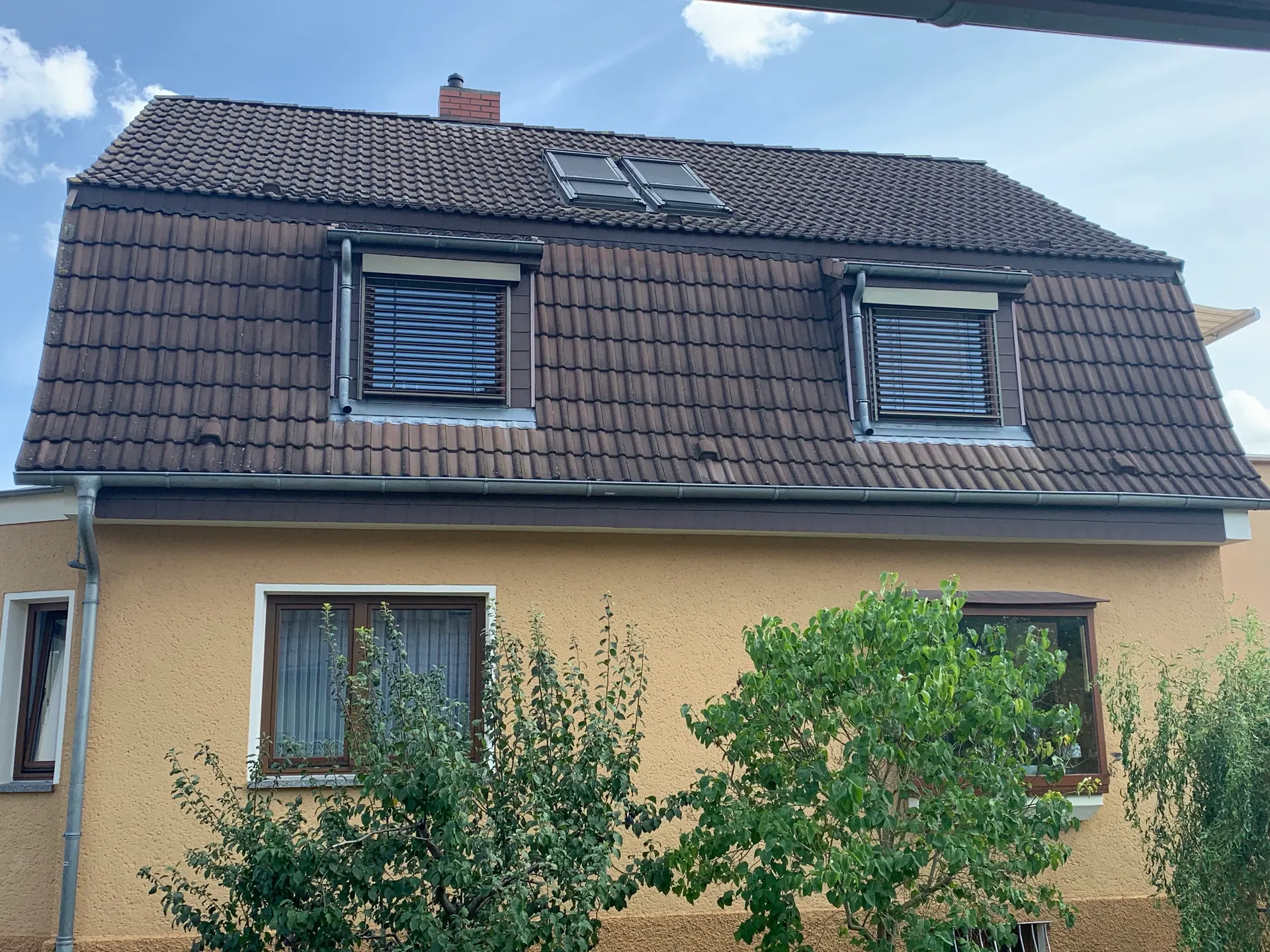 Dachzustand vor der Reinigung